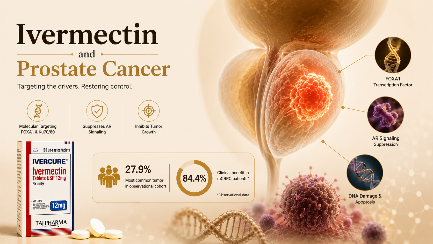 Ivermectin and prostate cancer | RxFarmacia