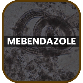 MEBENDAZOLE
